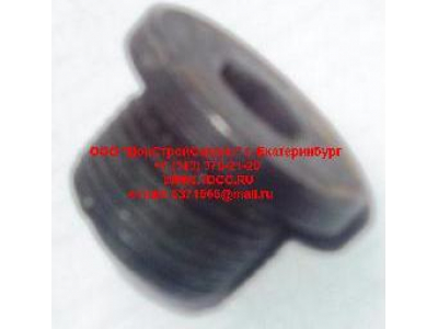 Пробка крышки бортового редуктора М22х1,5 H HOWO (ХОВО) 190003961309 фото 1 Нижний Тагил