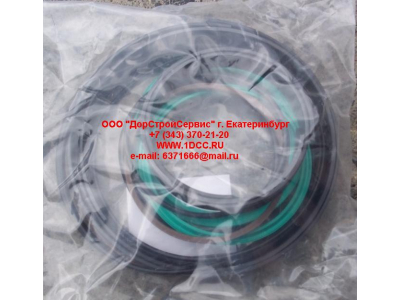 Ремкомплект гидроцилиндра стрелы (100x115) CDM855 Lonking CDM (СДМ)  фото 1 Нижний Тагил