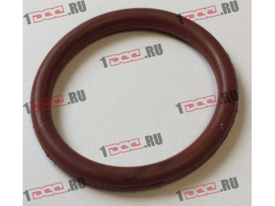Кольцо уплотнительное штуцера форсунки резиновое F FAW (ФАВ)  для самосвала фото 1 Нижний Тагил