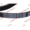 Ремень 8PK1160 SH (612600061295) SHAANXI / Shacman (ШАНКСИ / Шакман) 612600061752 фото 2 Нижний Тагил